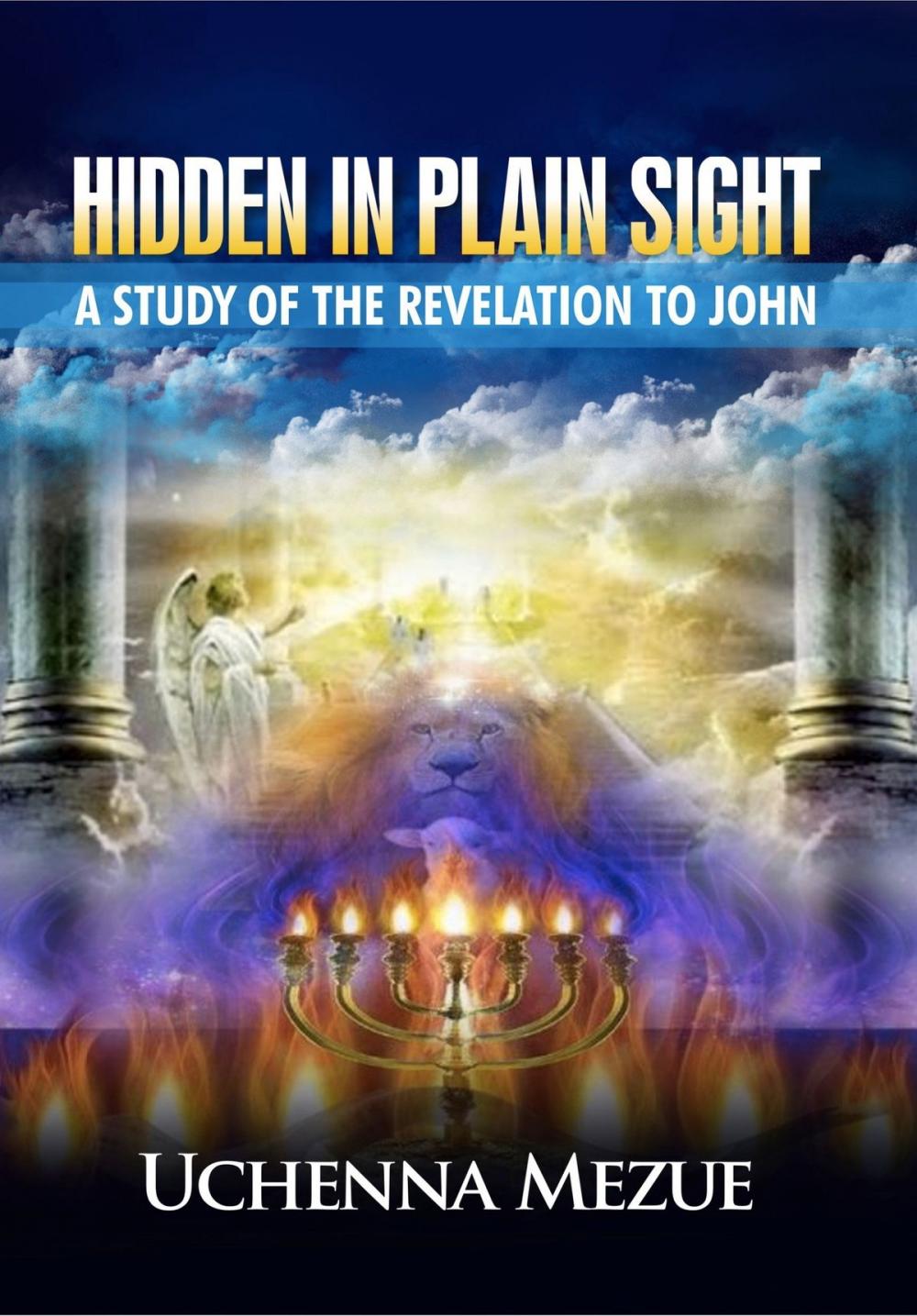 Big bigCover of Hidden In Plain Sight: A Study of the Revelation to John