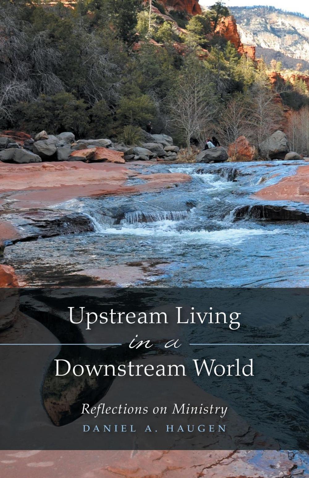 Big bigCover of Upstream Living in a Downstream World