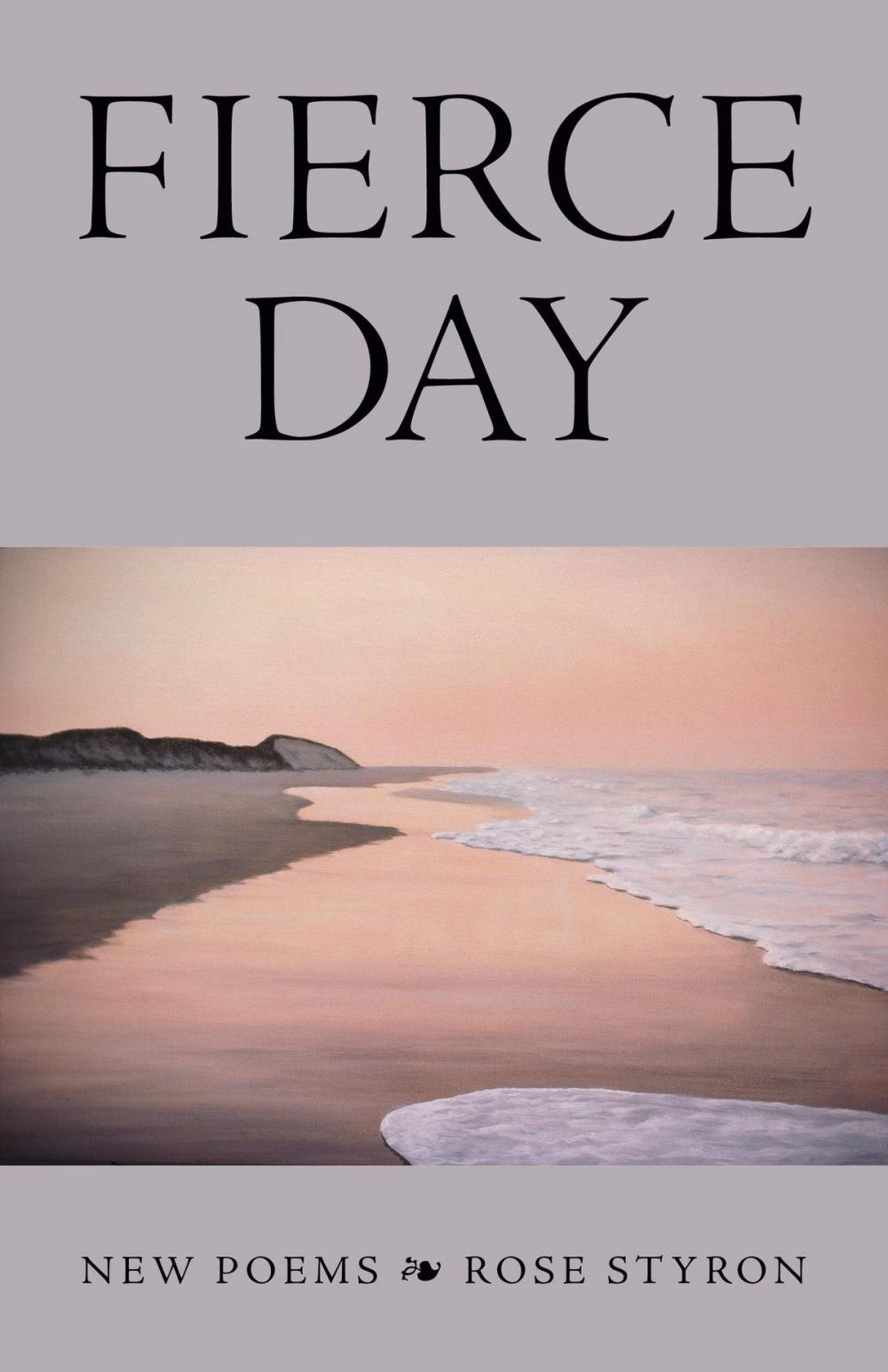 Big bigCover of Fierce Day