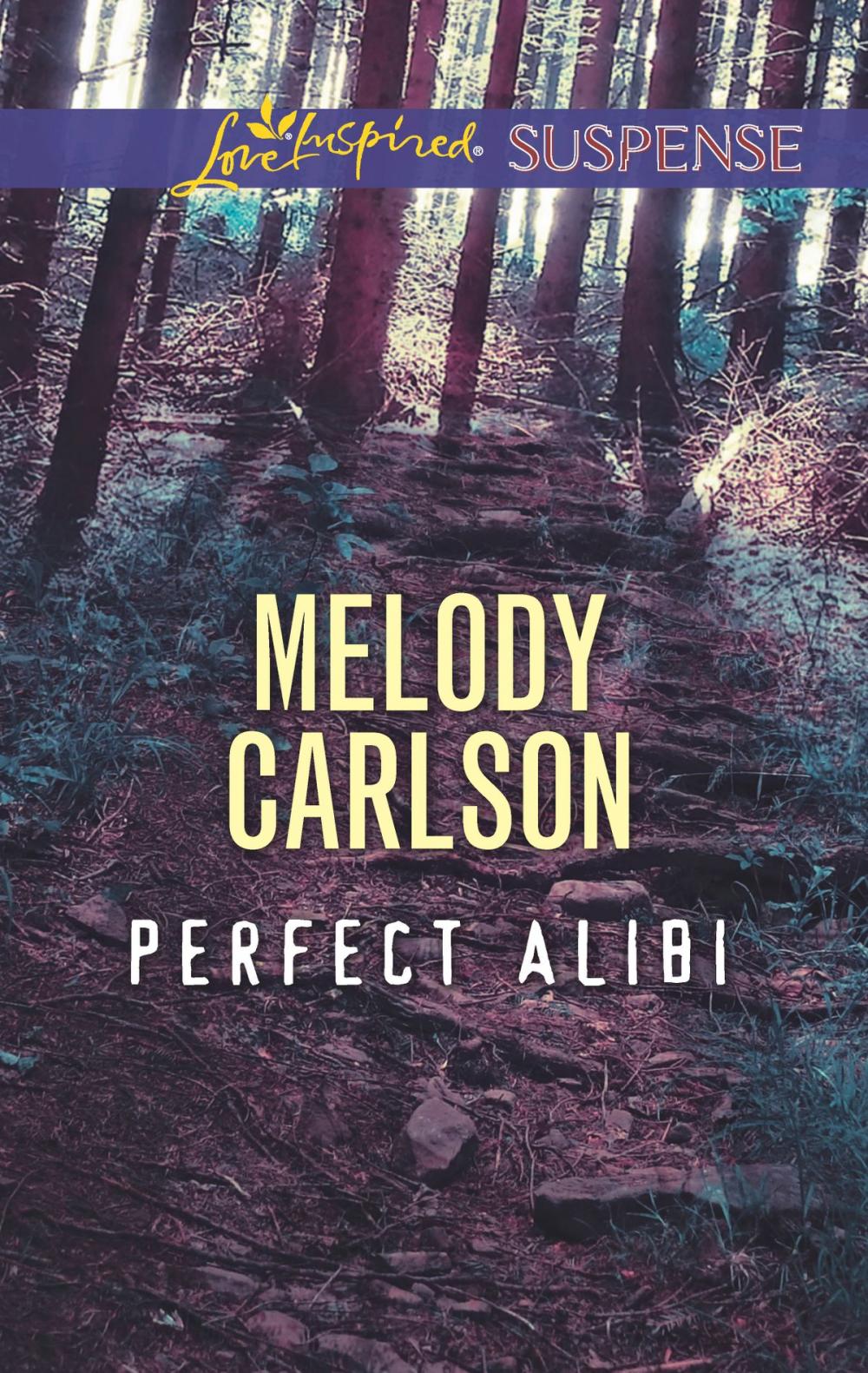 Big bigCover of Perfect Alibi