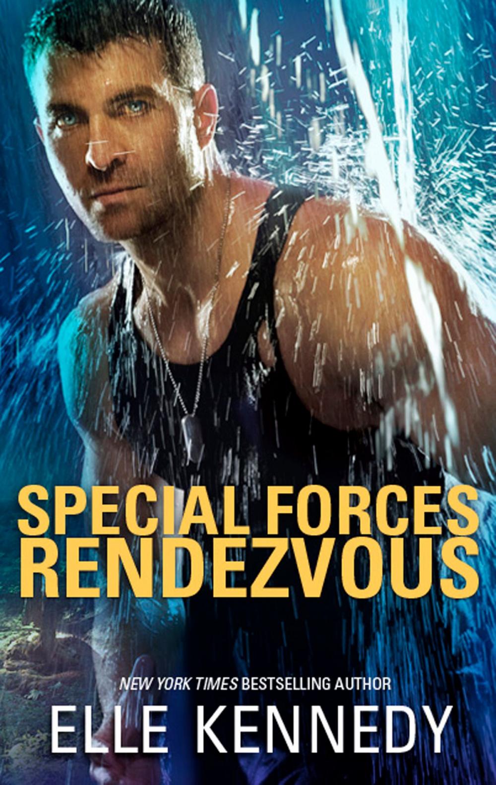 Big bigCover of Special Forces Rendezvous