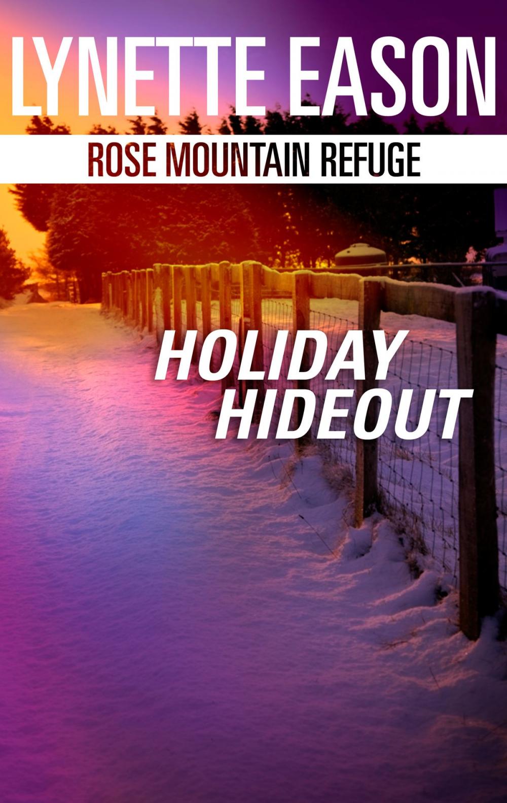 Big bigCover of Holiday Hideout