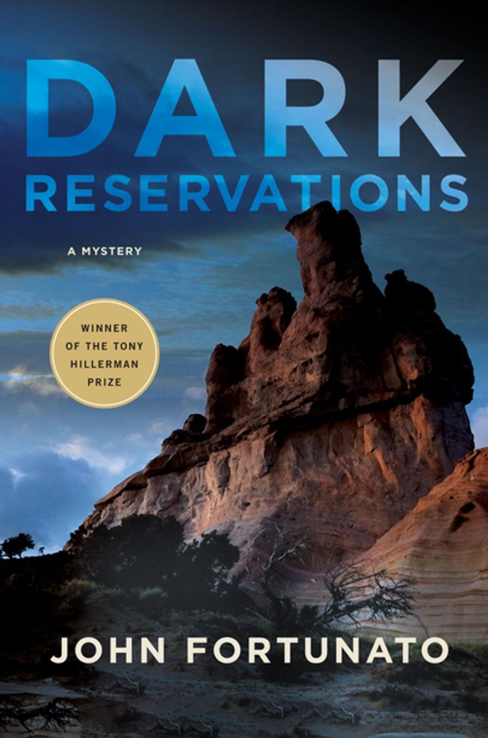 Big bigCover of Dark Reservations