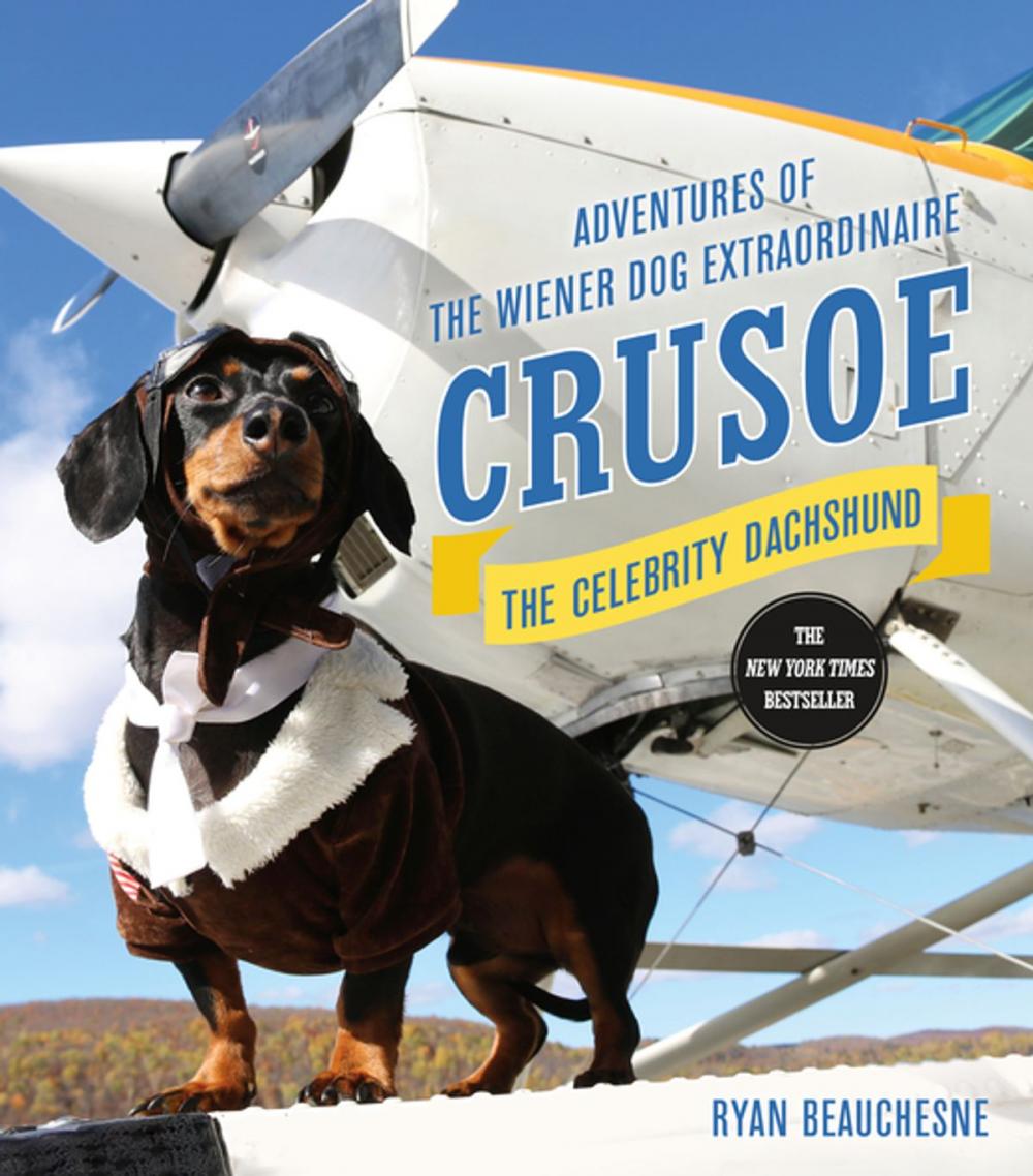 Big bigCover of Crusoe, the Celebrity Dachshund