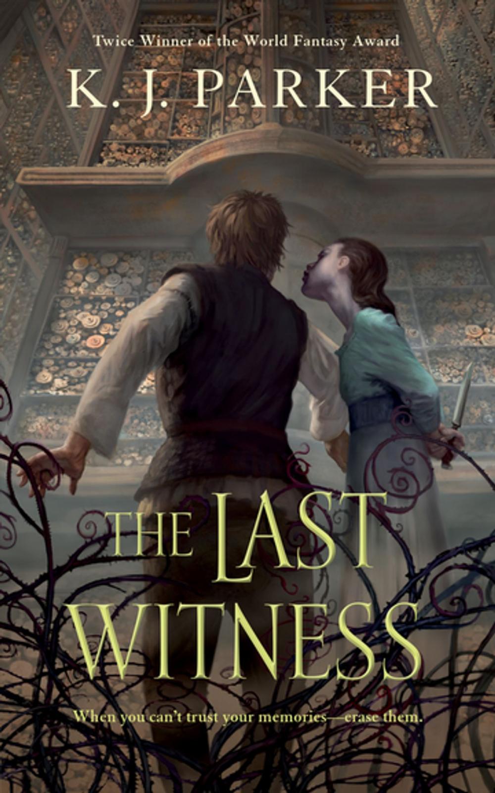 Big bigCover of The Last Witness