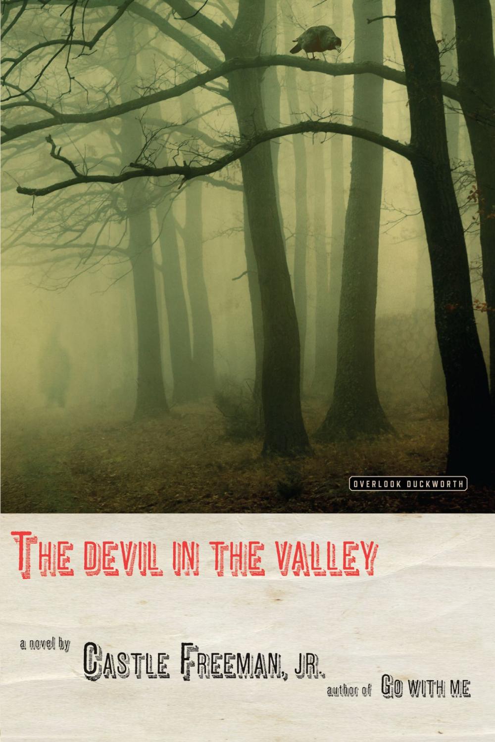 Big bigCover of The Devil in the Valley