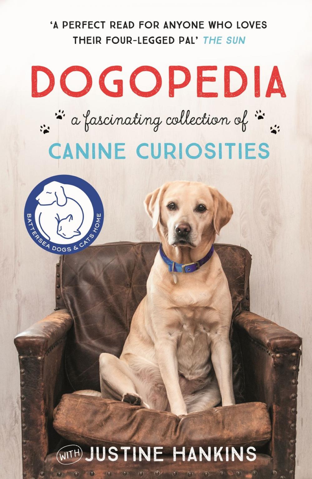 Big bigCover of Dogopedia