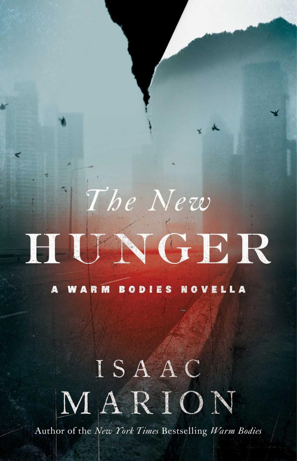 Big bigCover of The New Hunger