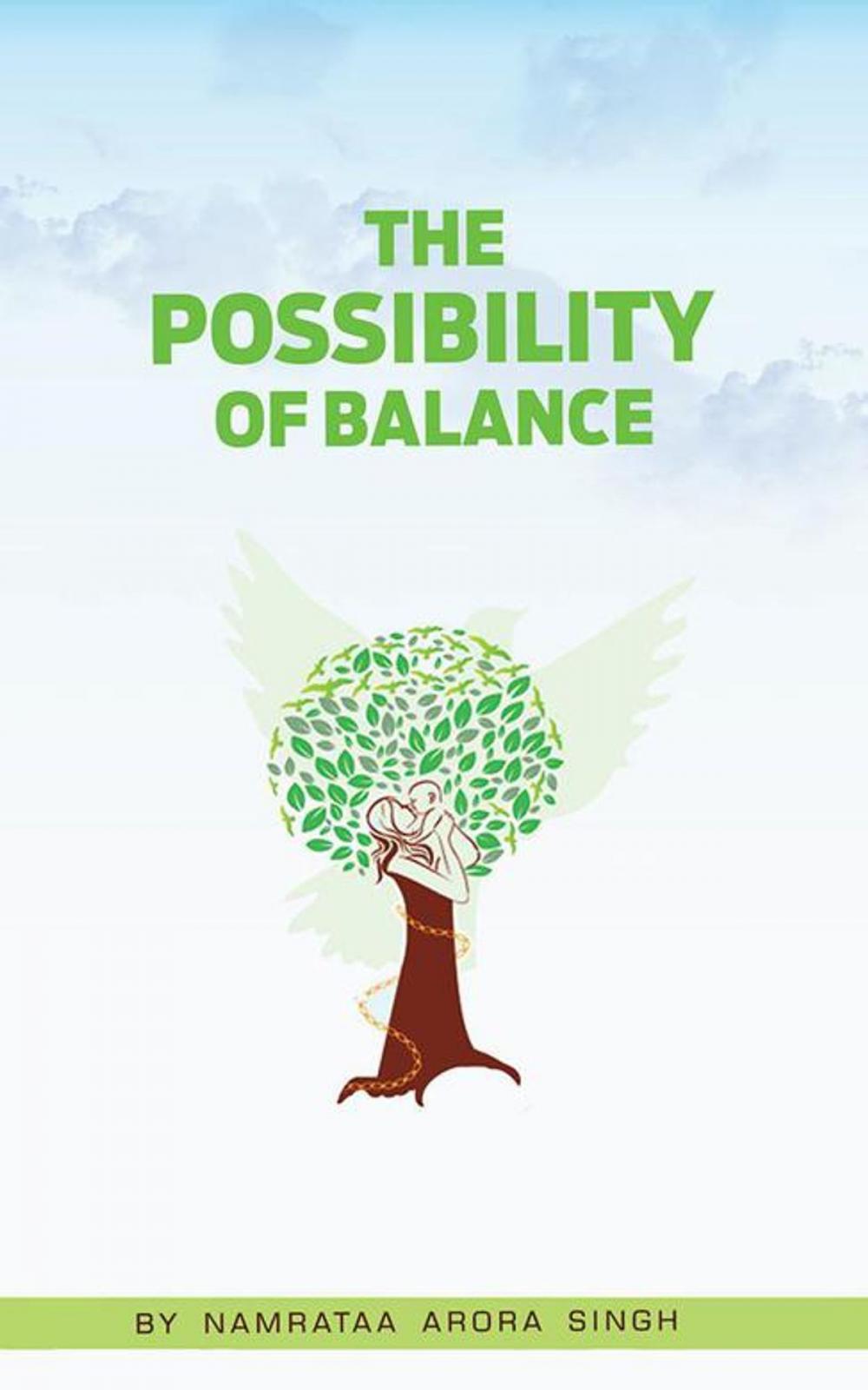 Big bigCover of The Possibility of Balance