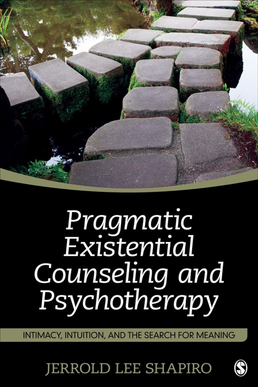 Big bigCover of Pragmatic Existential Counseling and Psychotherapy