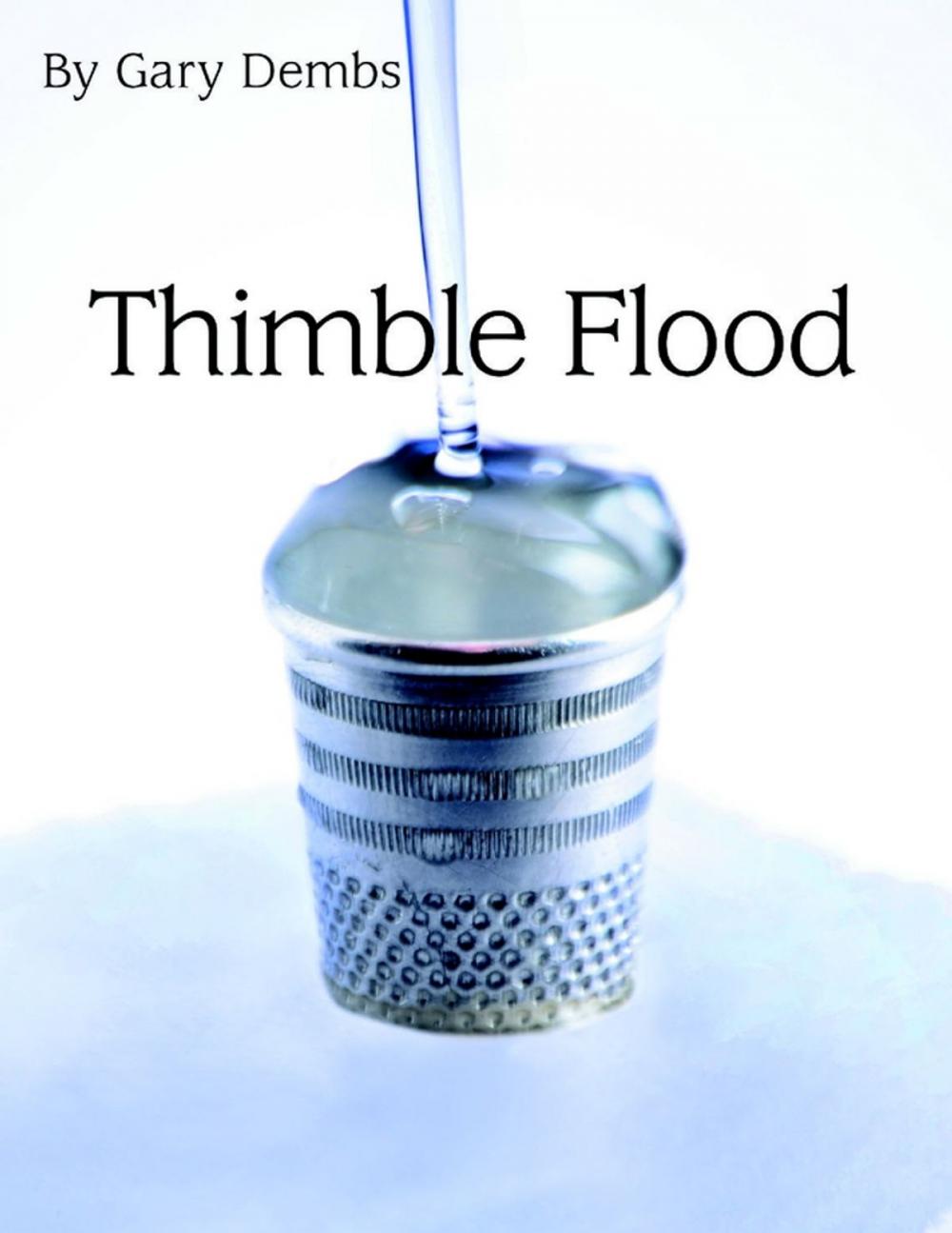 Big bigCover of Thimble Flood