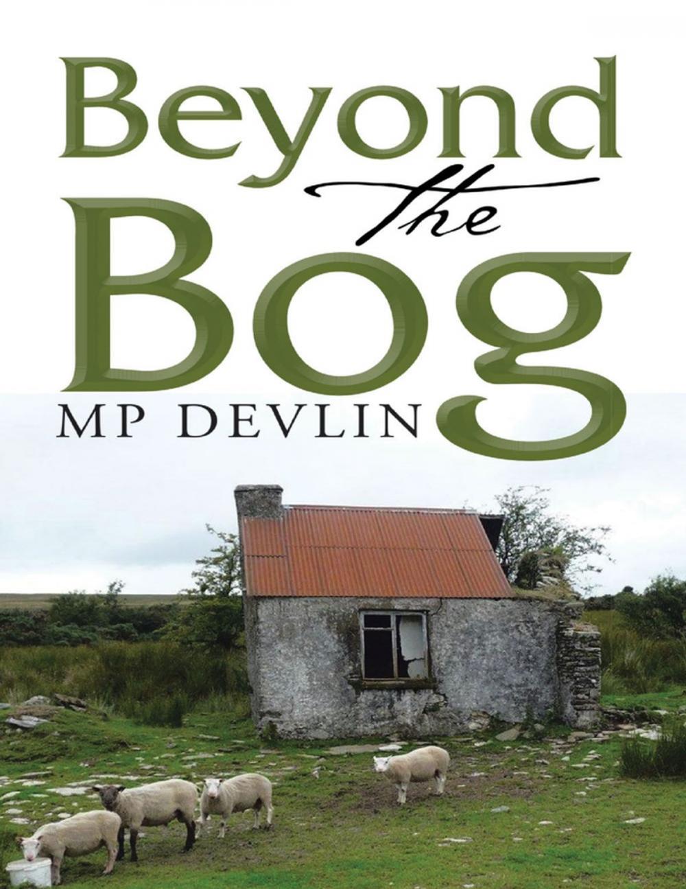 Big bigCover of Beyond the Bog