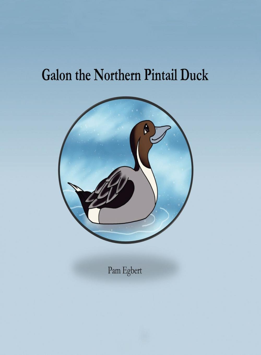 Big bigCover of Galon the Northern Pintail Duck