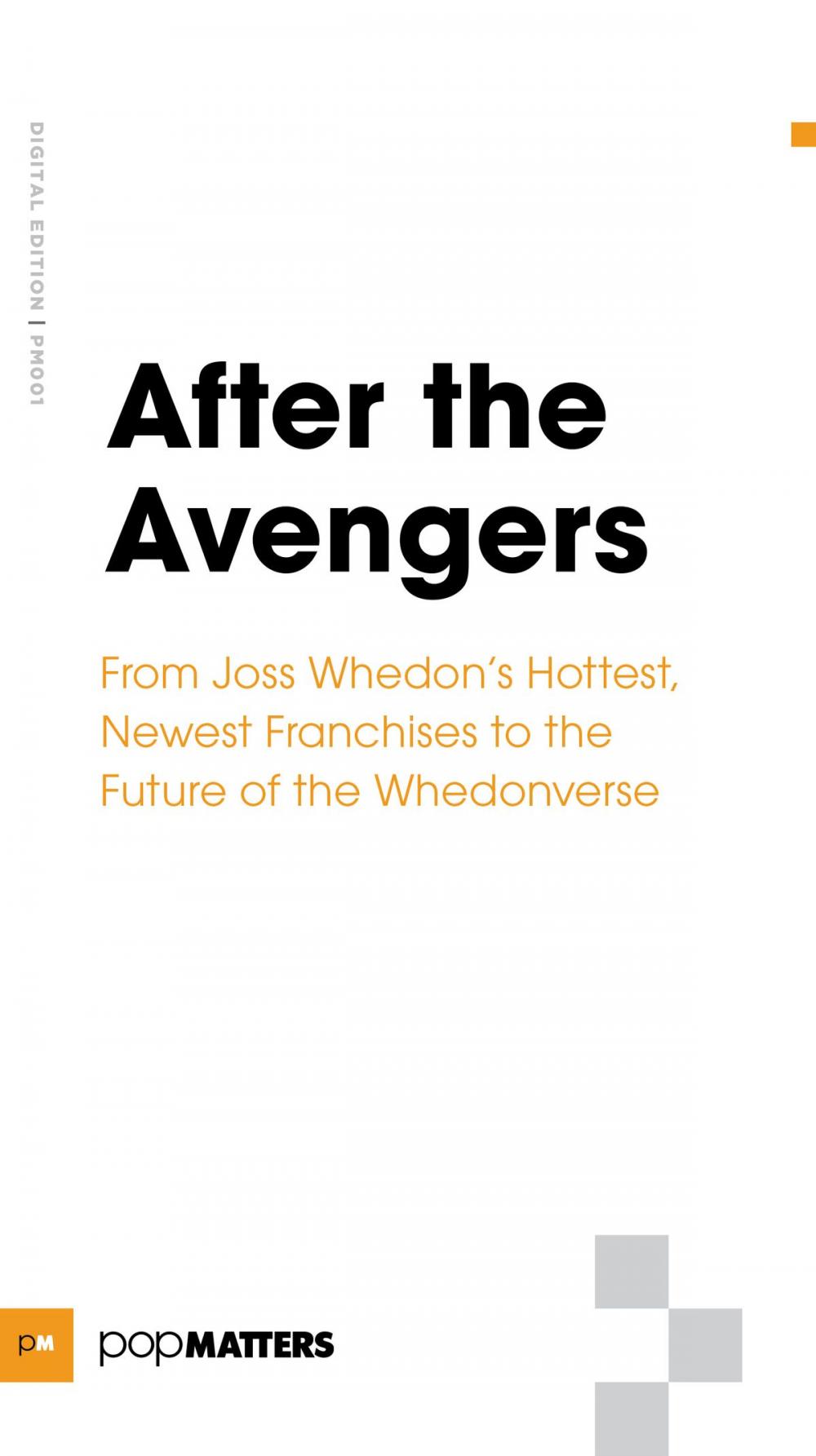 Big bigCover of After the Avengers