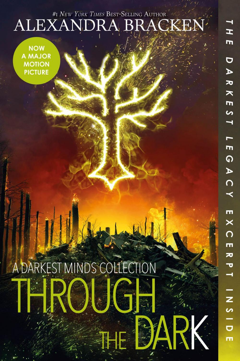 Big bigCover of Through the Dark: A Darkest Minds Collection