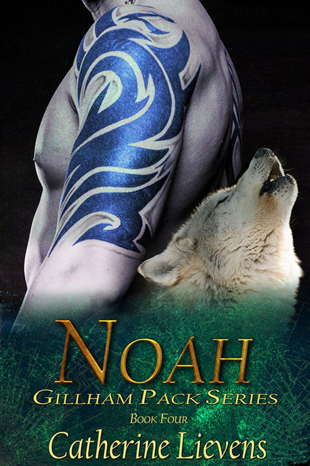 Big bigCover of Noah