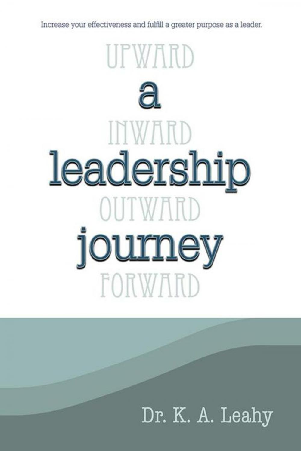 Big bigCover of A Leadership Journey