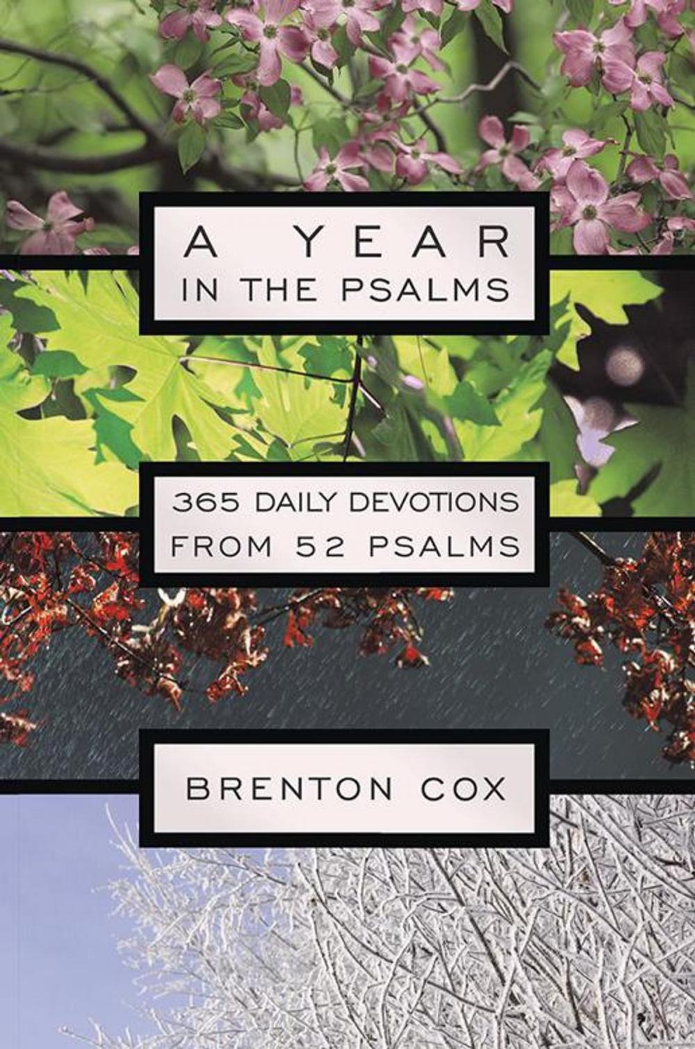 Big bigCover of A Year in the Psalms