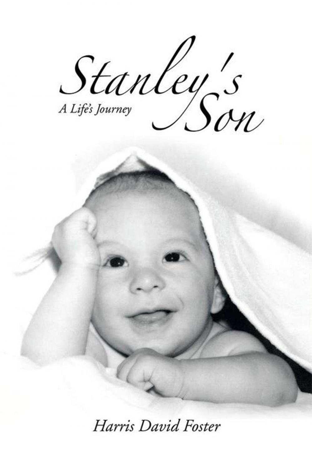 Big bigCover of Stanley's Son