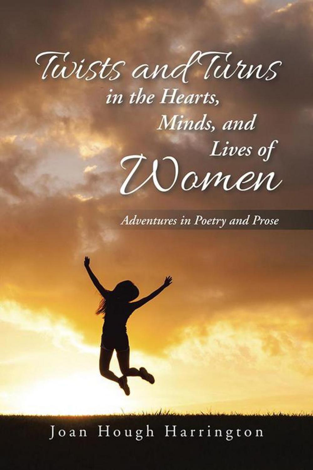 Big bigCover of Twists and Turns in the Hearts, Minds, and Lives of Women