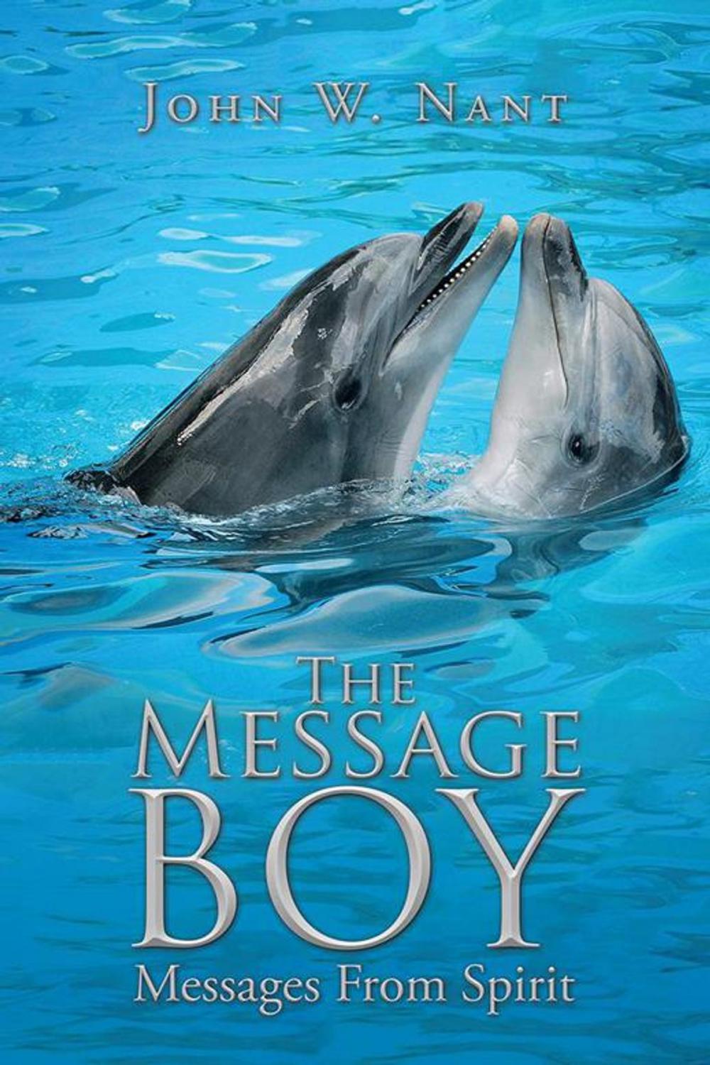 Big bigCover of The Message Boy