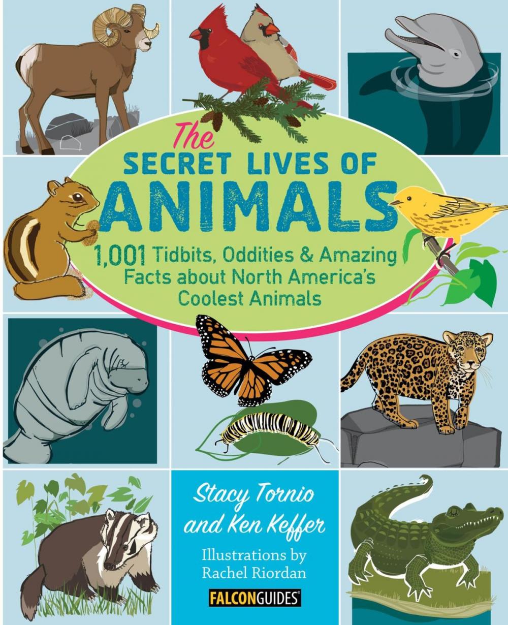 Big bigCover of The Secret Lives of Animals