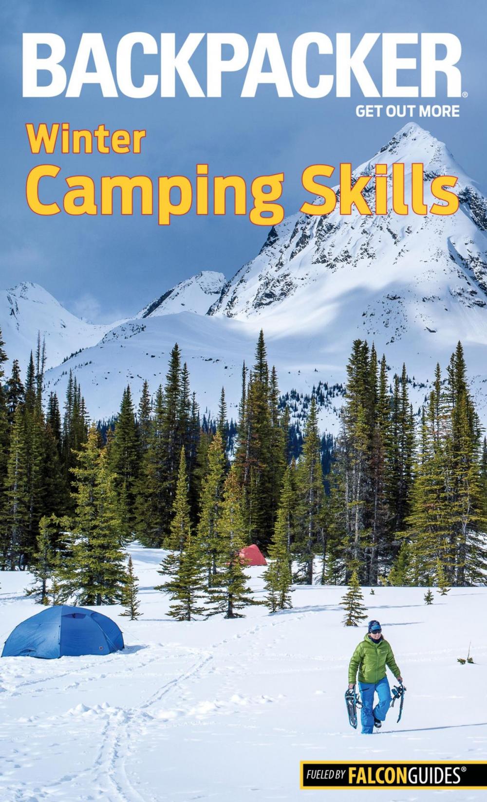 Big bigCover of Backpacker Winter Camping Skills