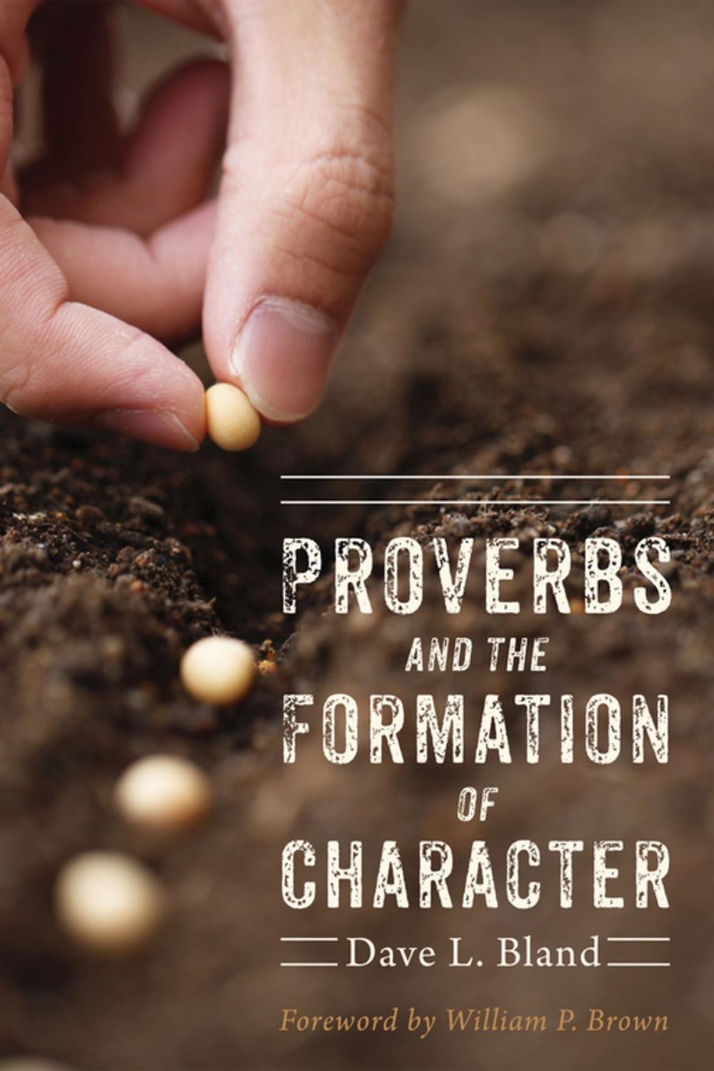 Big bigCover of Proverbs and the Formation of Character