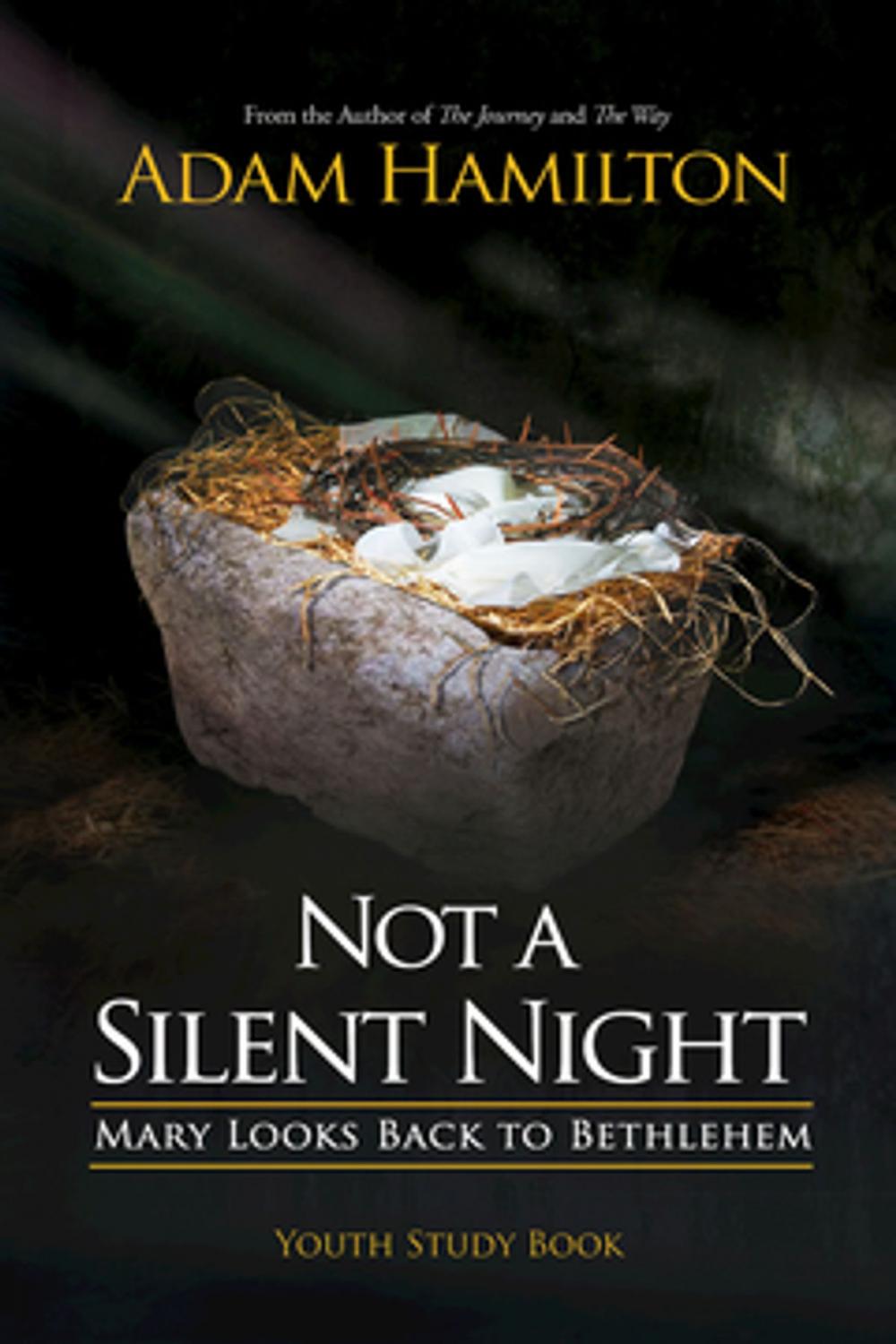 Big bigCover of Not a Silent Night Youth Study Book