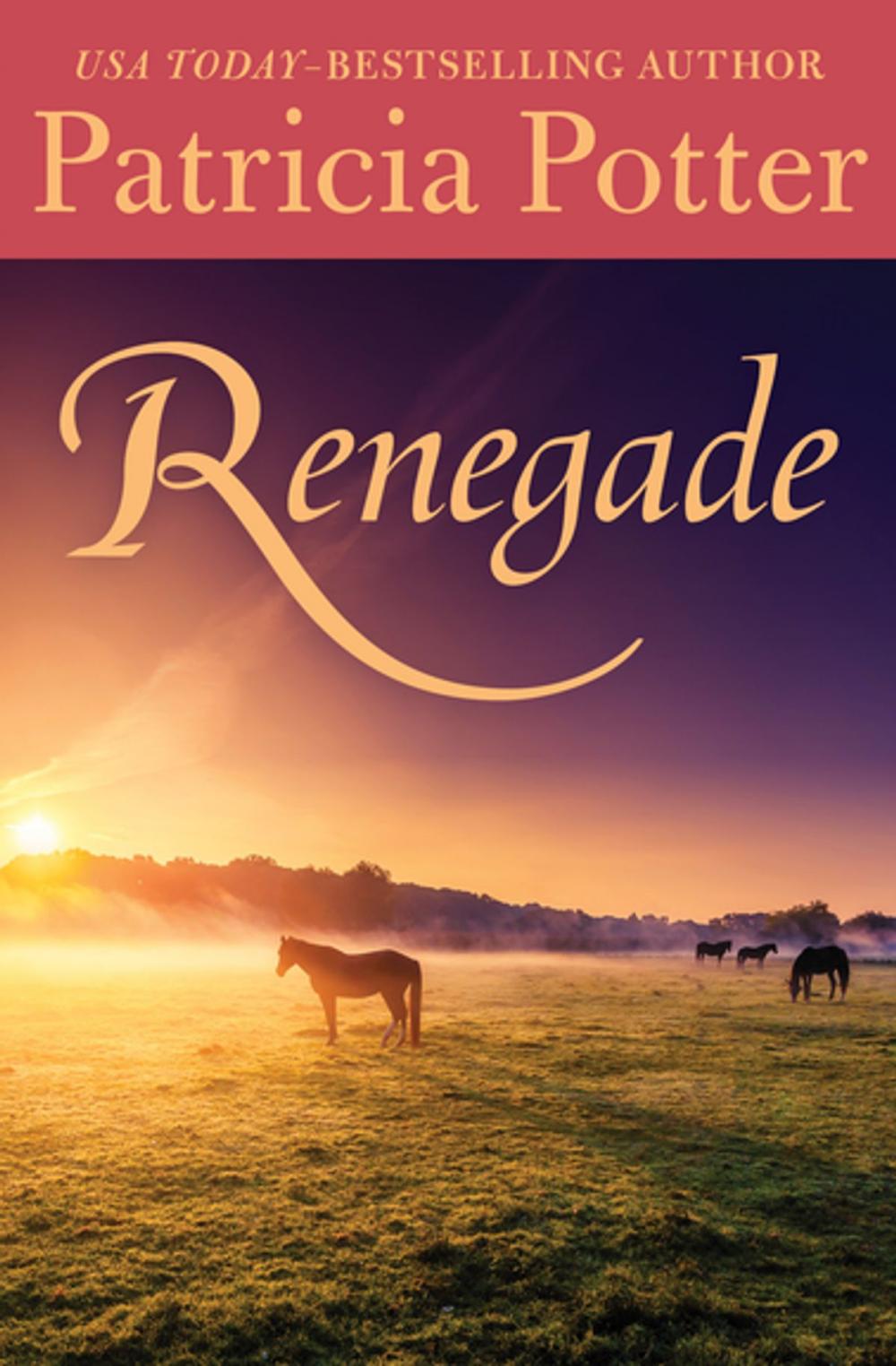 Big bigCover of Renegade