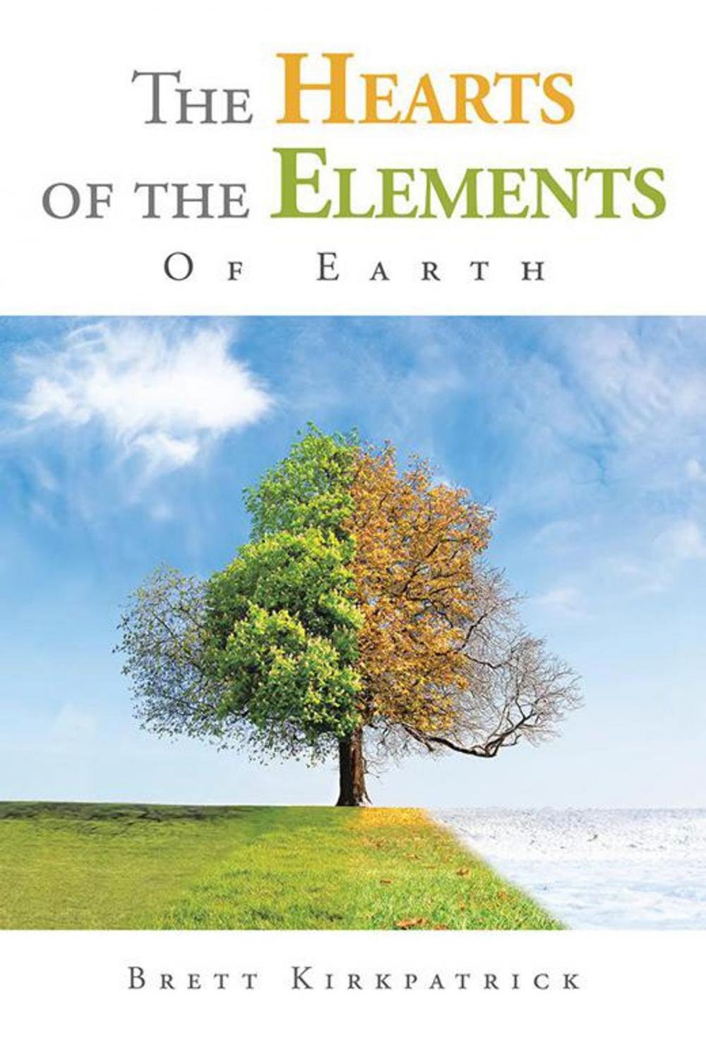 Big bigCover of The Hearts of the Elements