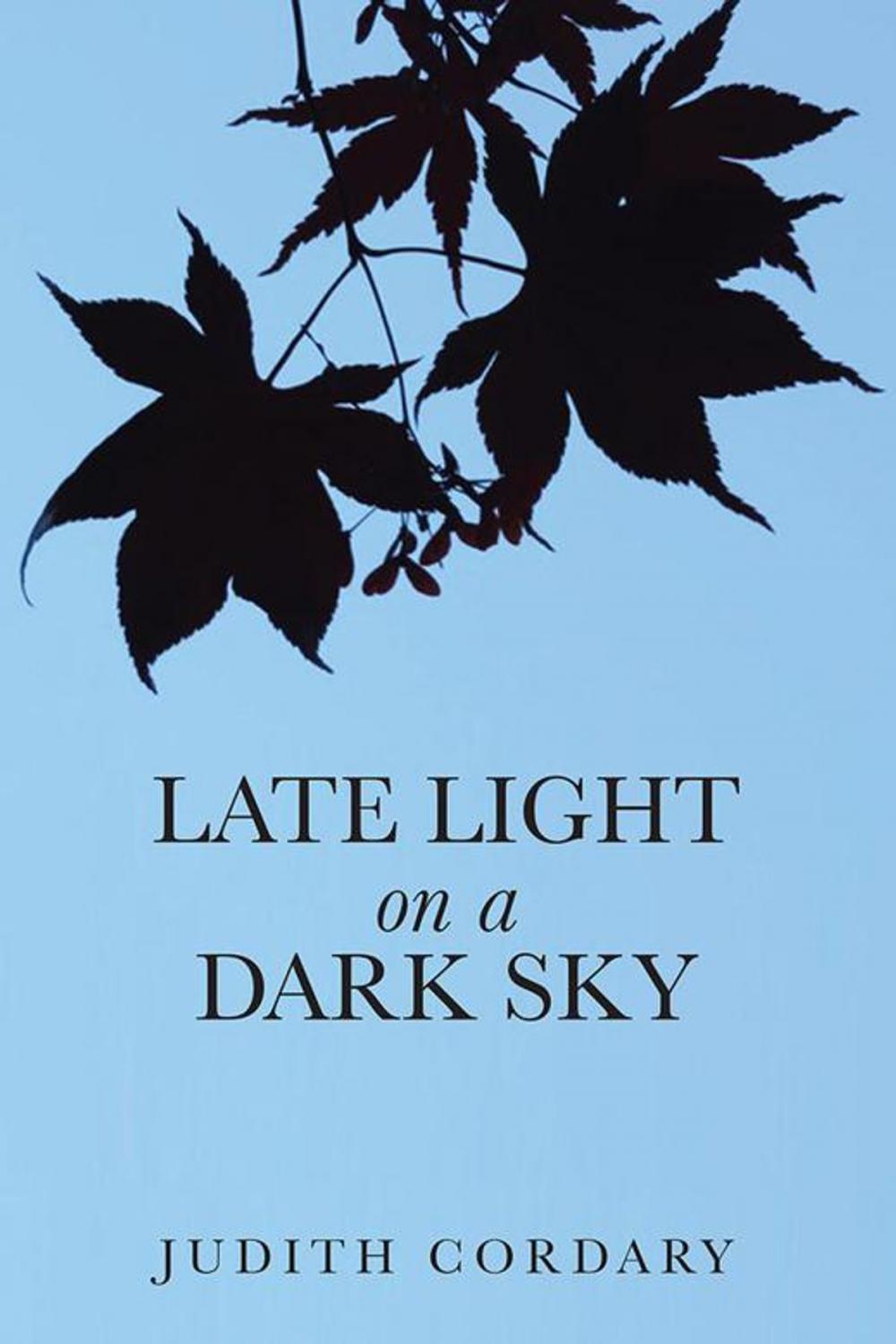 Big bigCover of Late Light on a Dark Sky