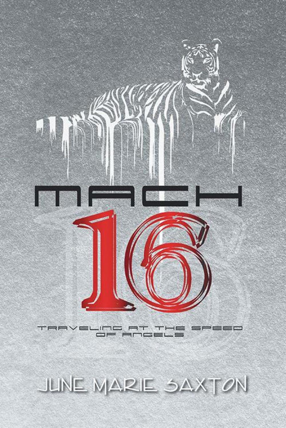 Big bigCover of Mach 16