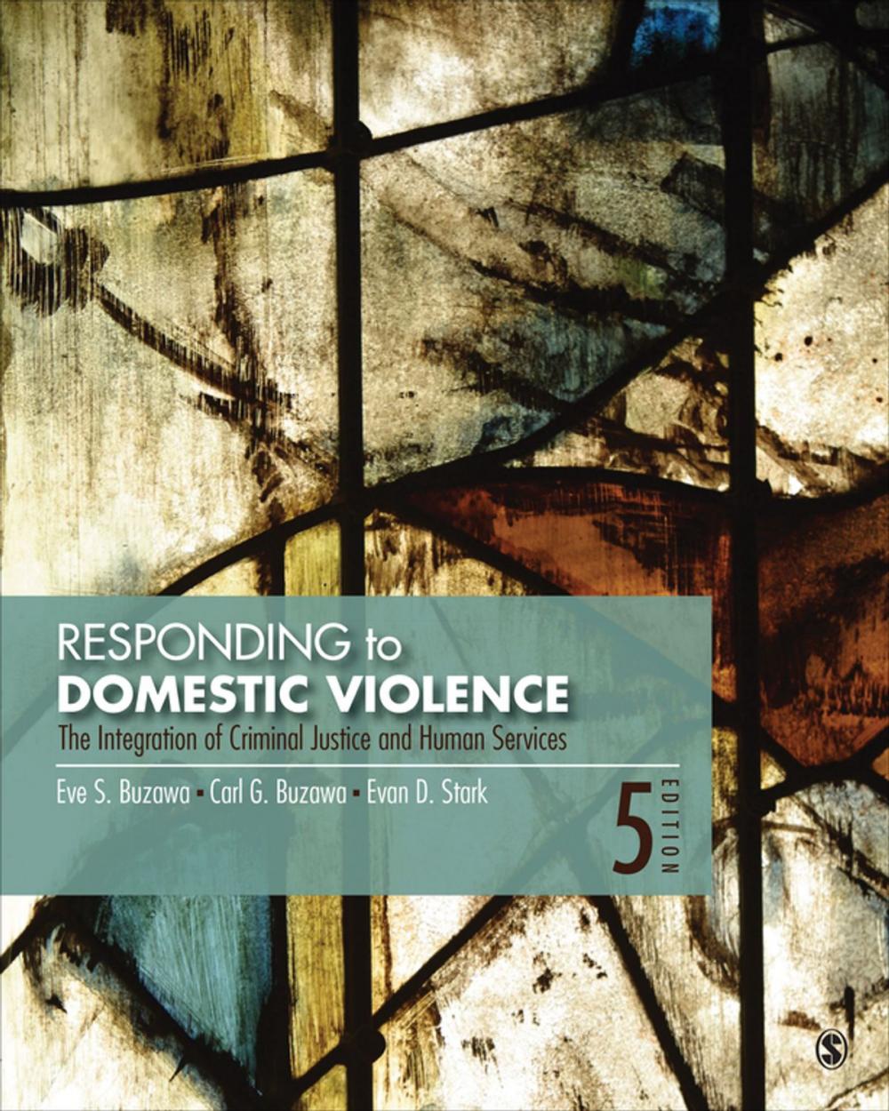 Big bigCover of Responding to Domestic Violence