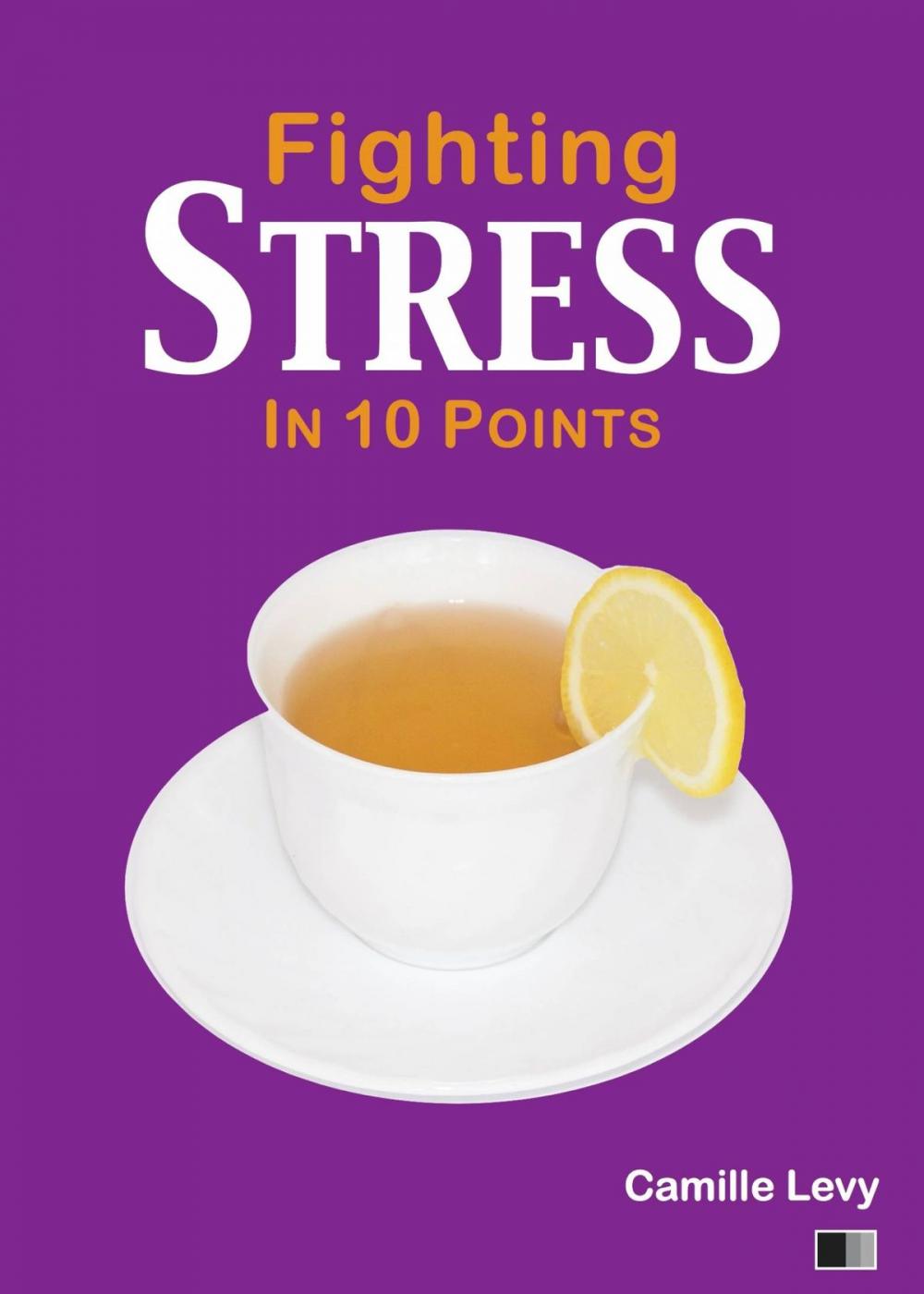 Big bigCover of Fighting Stress in 10 Points