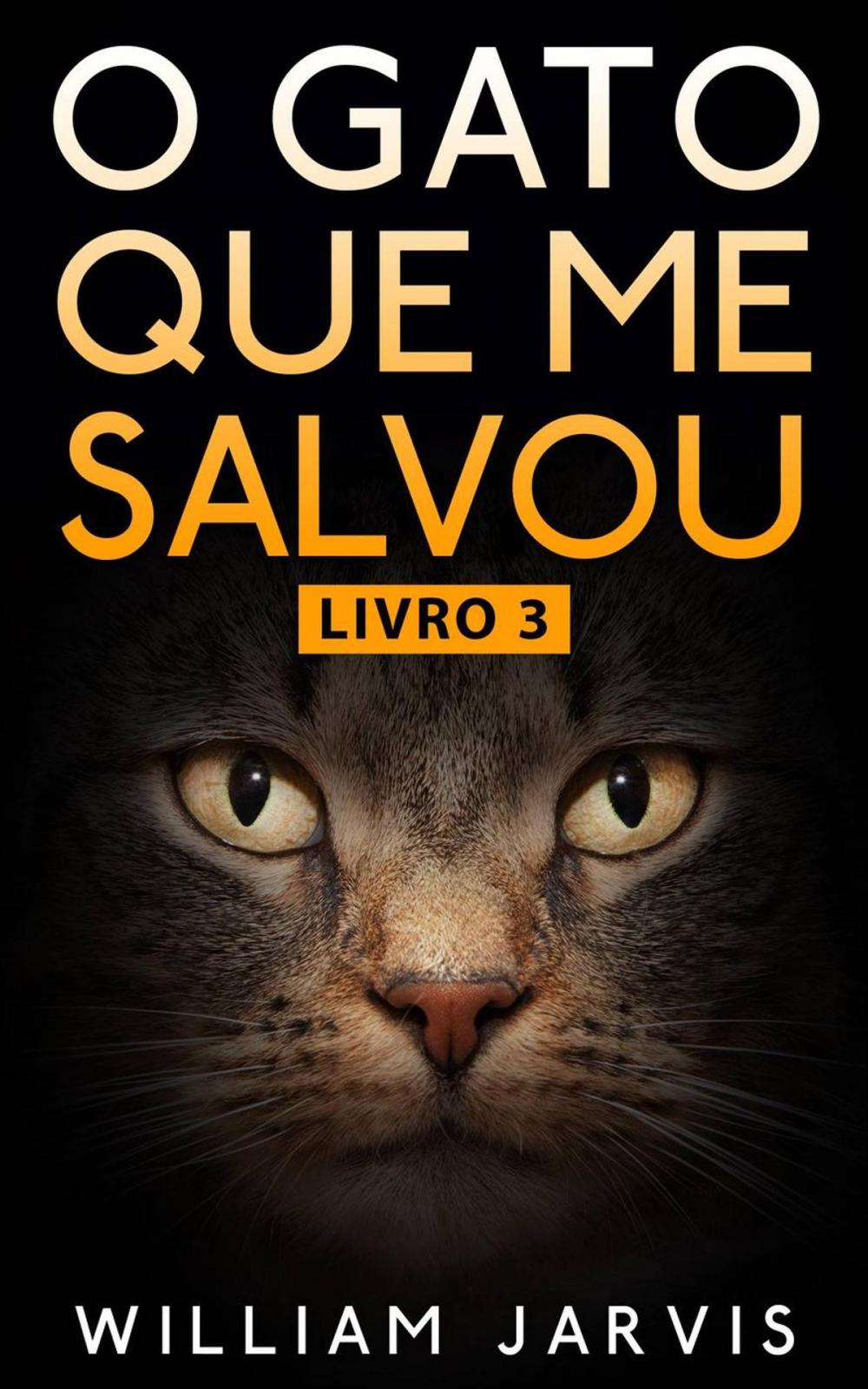 Big bigCover of O Gato Que Me Salvou Livro 3