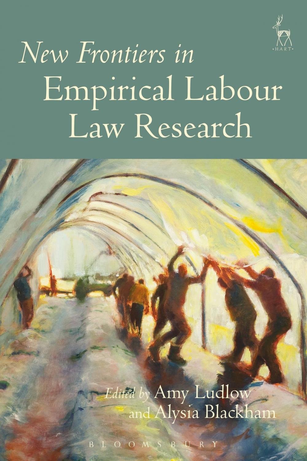 Big bigCover of New Frontiers in Empirical Labour Law Research