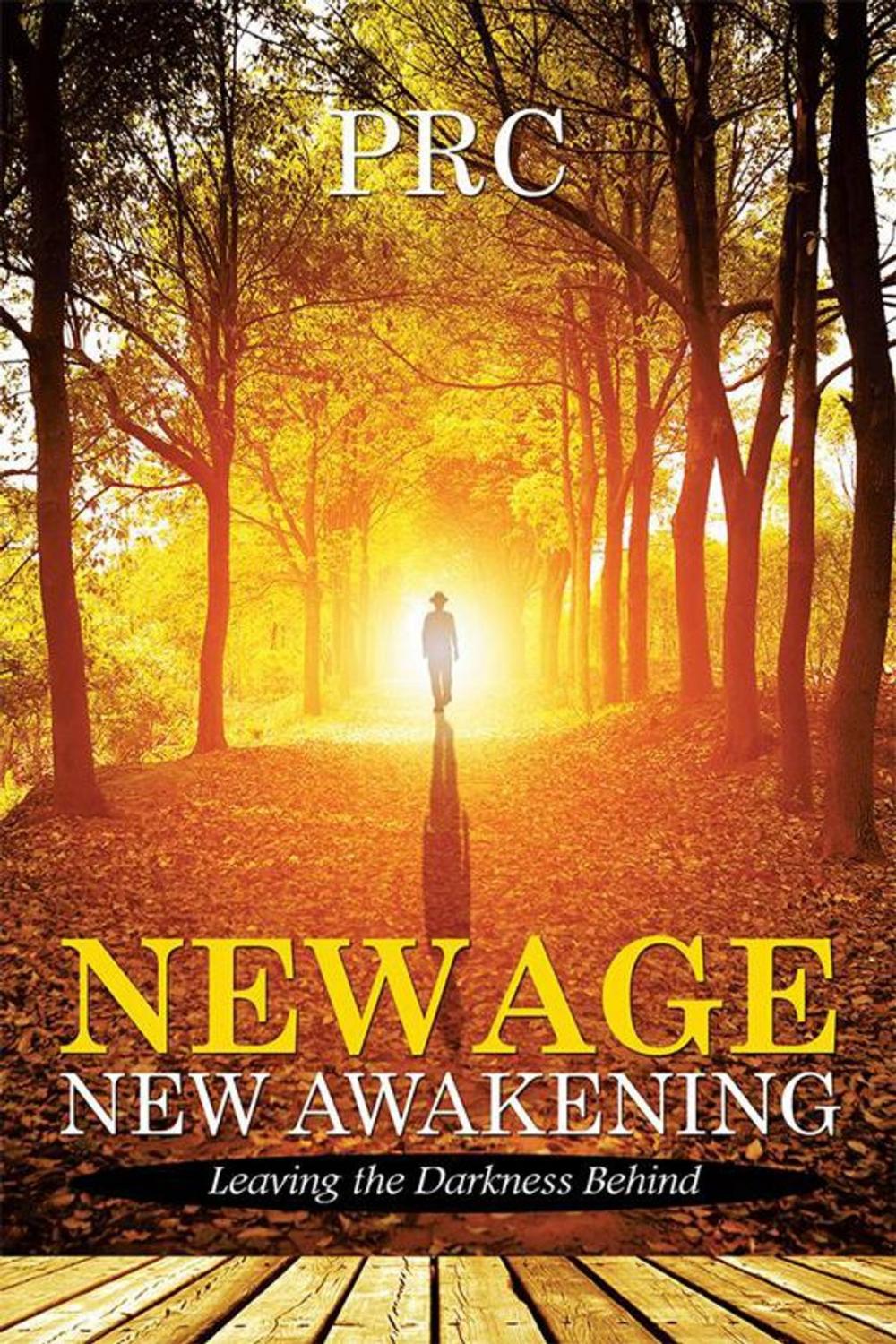 Big bigCover of New Age New Awakening