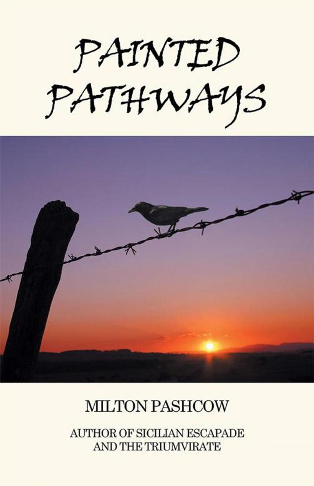 Big bigCover of Painted Pathways