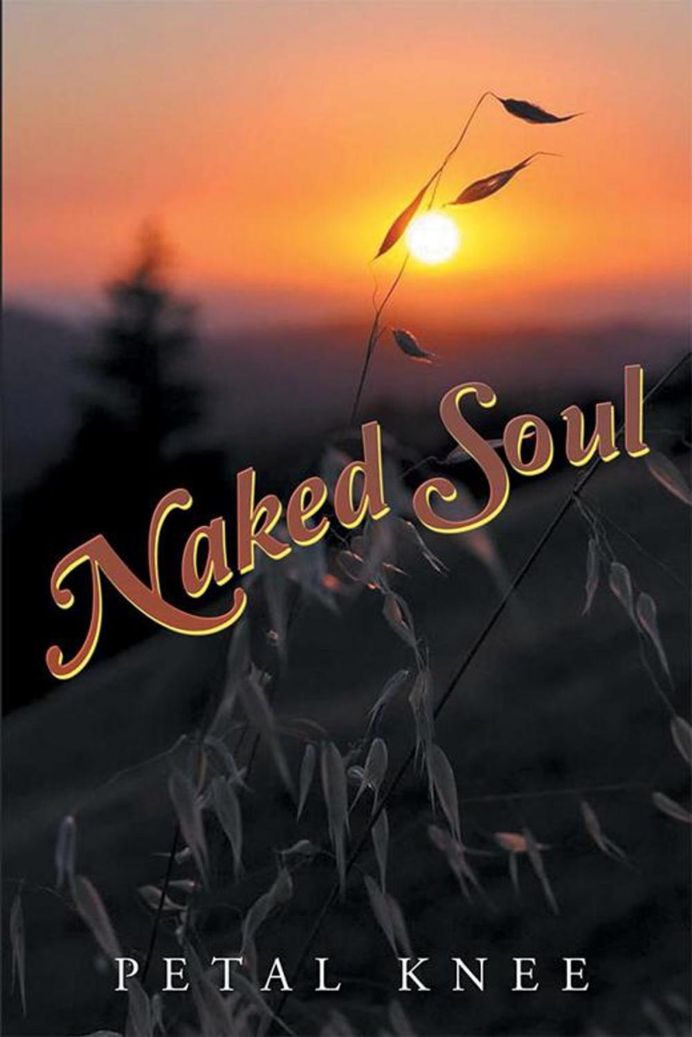 Big bigCover of Naked Soul