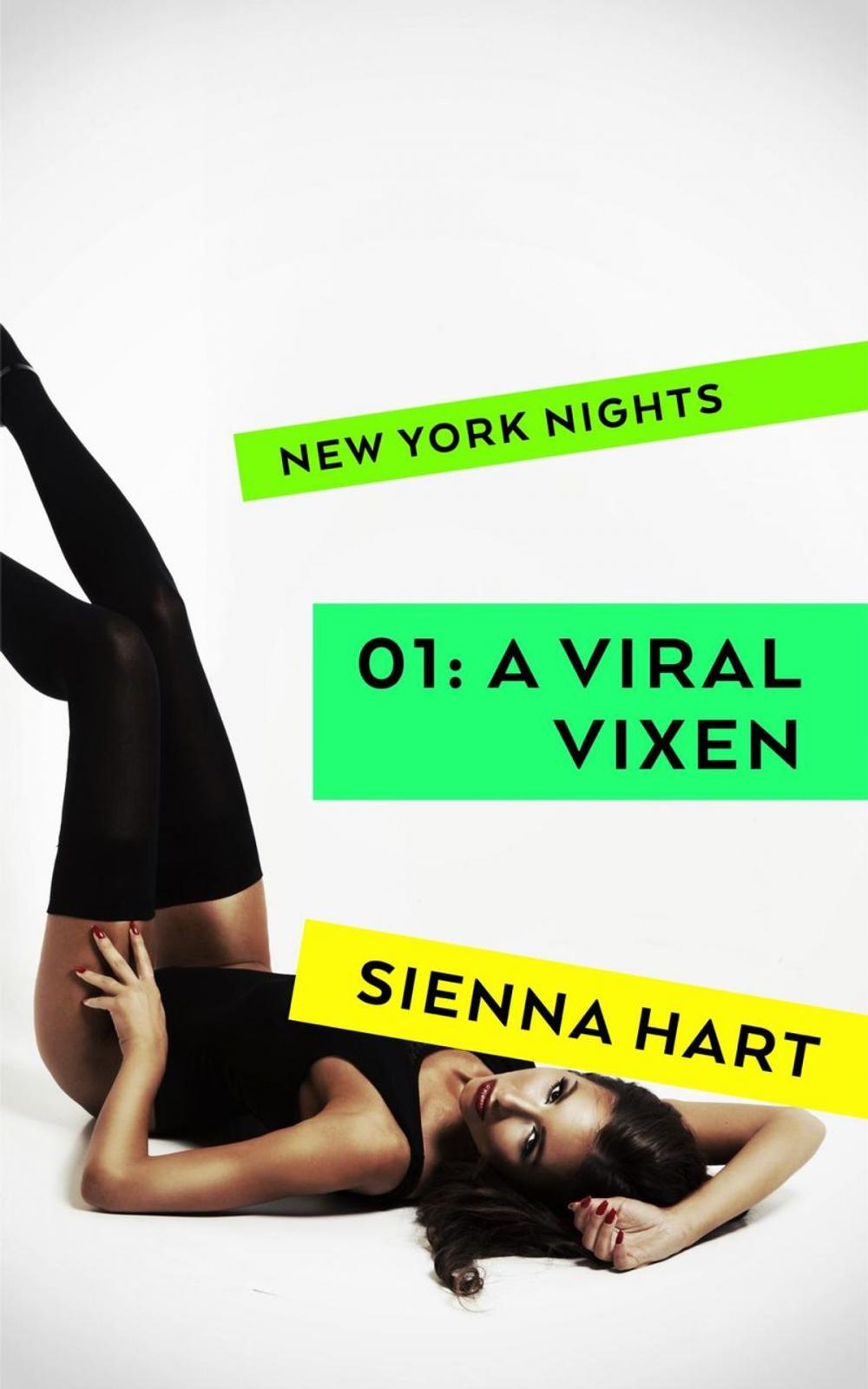 Big bigCover of A Viral Vixen