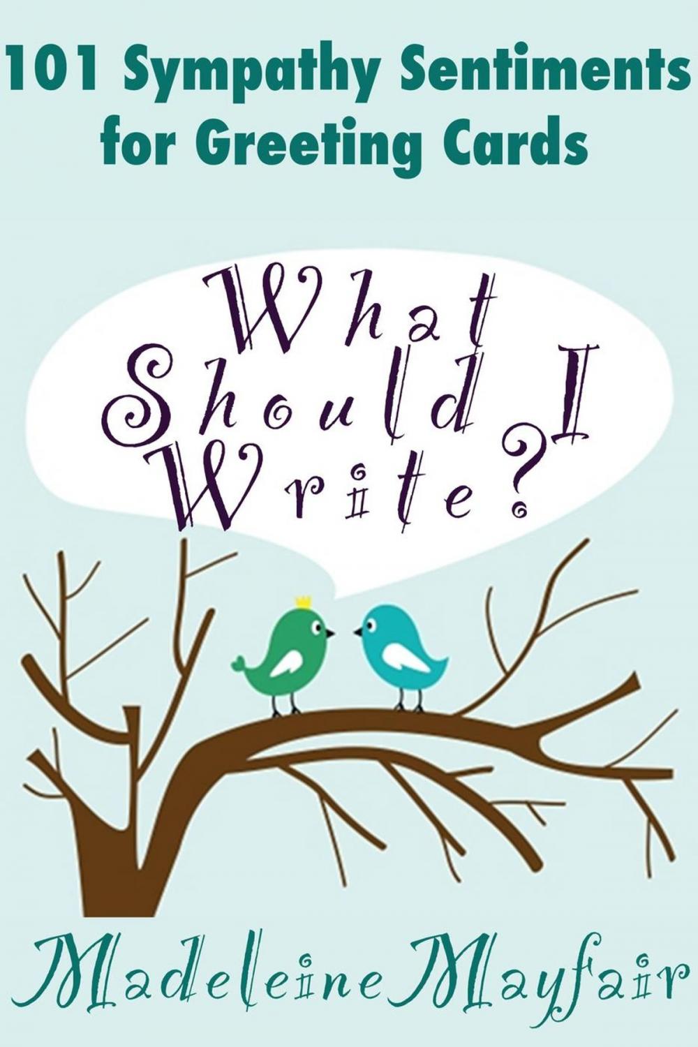 Big bigCover of What Should I Write? 101 Sympathy Sentiments for Greeting Cards