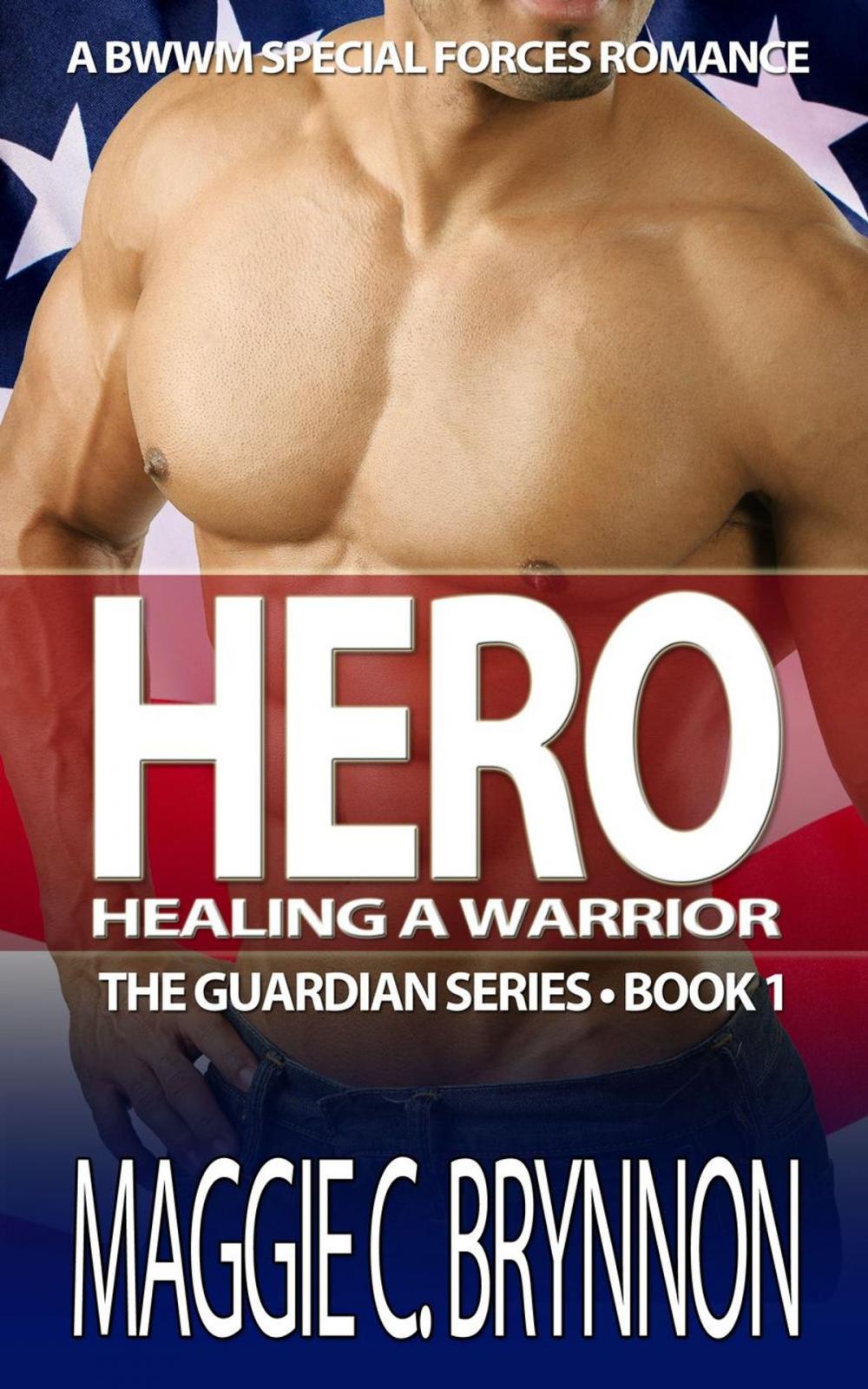 Big bigCover of Hero: Healing a Warrior, Book 1