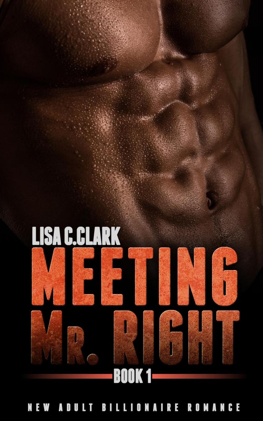 Big bigCover of Meeting Mr. Right: Book # 1