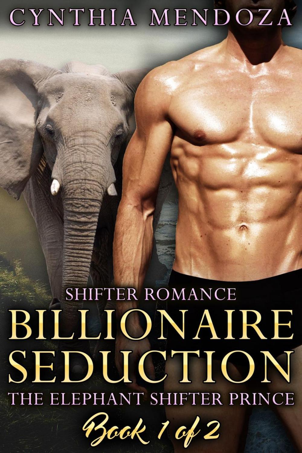 Big bigCover of Shifter Romance: Billionaire Seduction