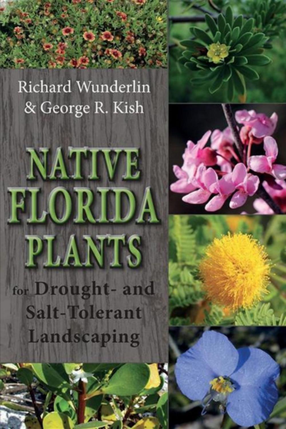 Big bigCover of Native Florida Plants for Drought- and Salt-Tolerant Landscaping