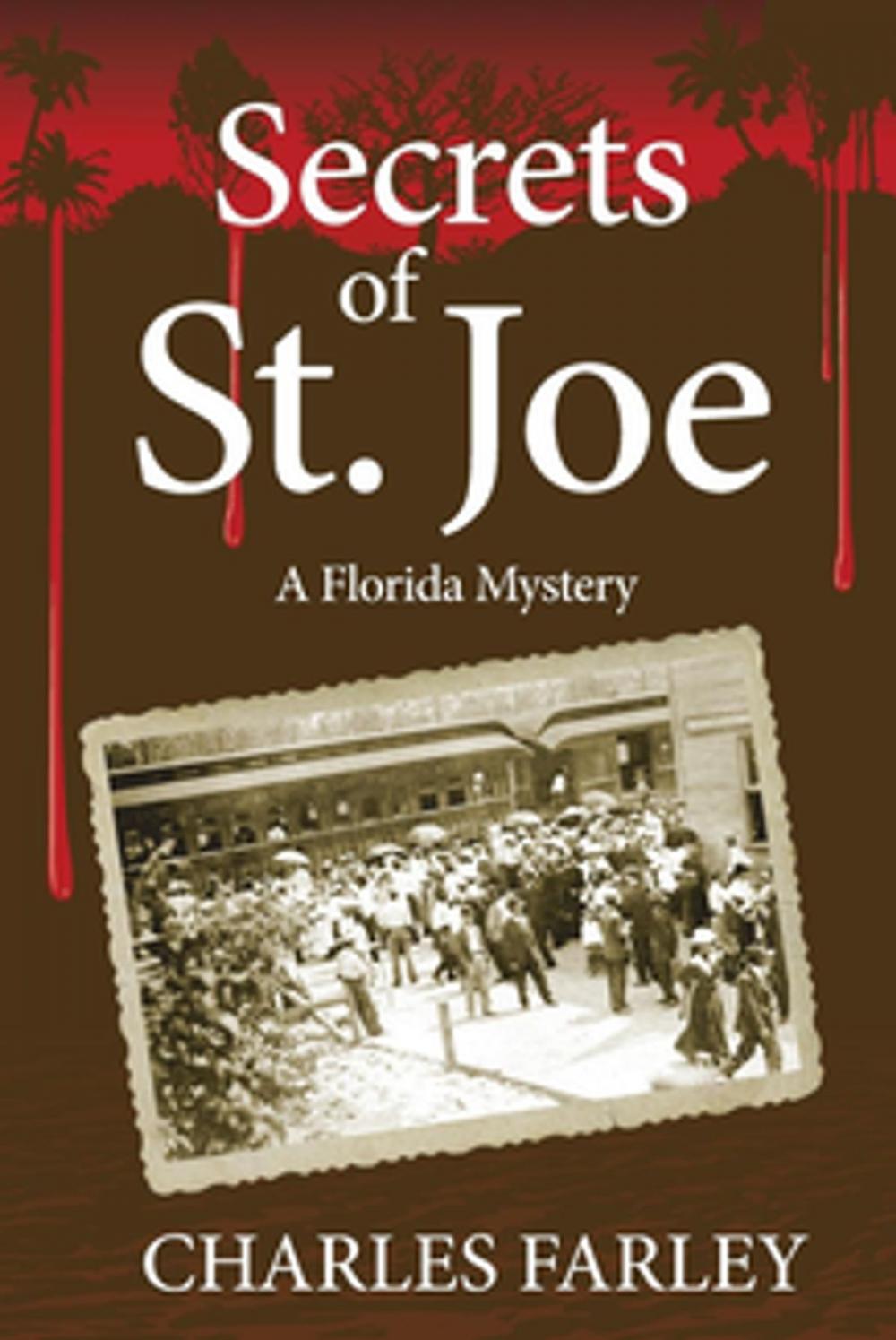 Big bigCover of Secrets of St. Joe