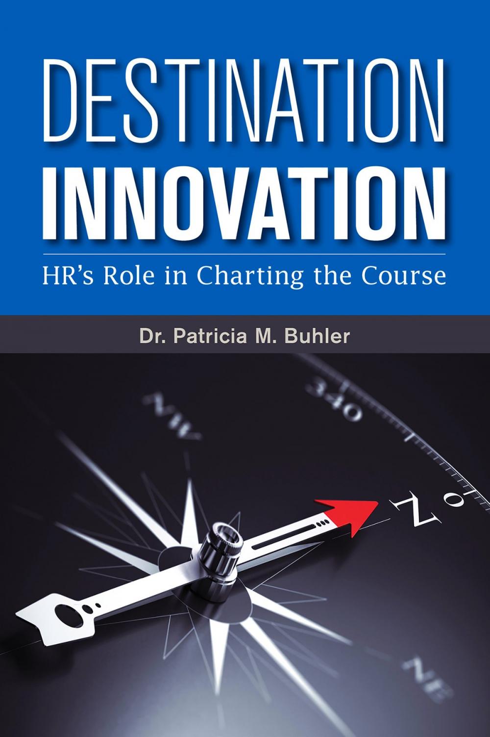 Big bigCover of Destination Innovation