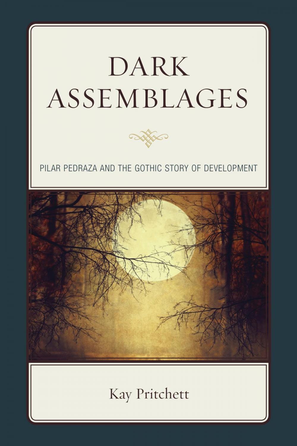 Big bigCover of Dark Assemblages