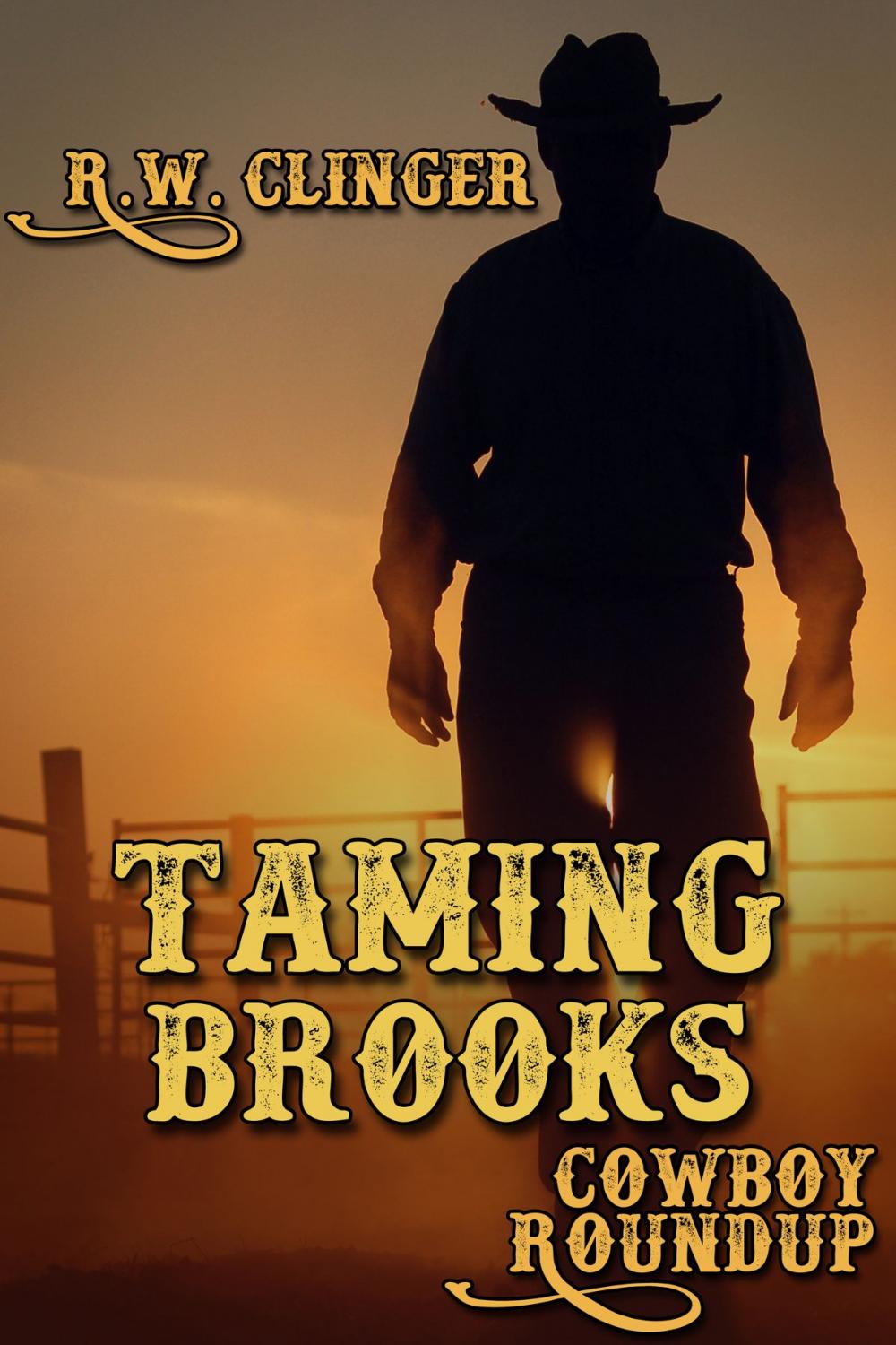 Big bigCover of Taming Brooks